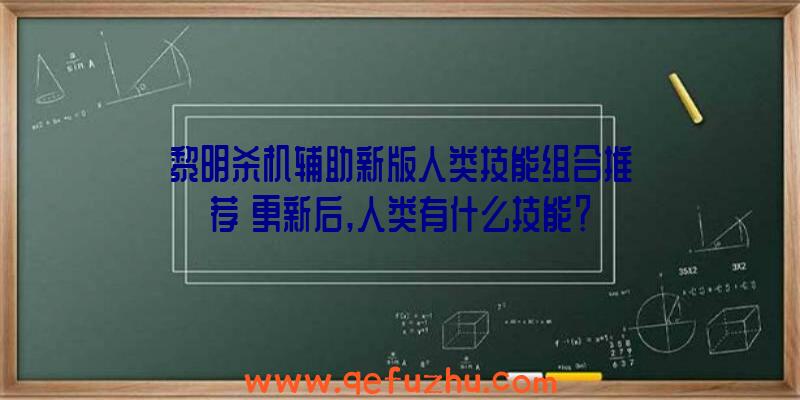 黎明杀机辅助新版人类技能组合推荐